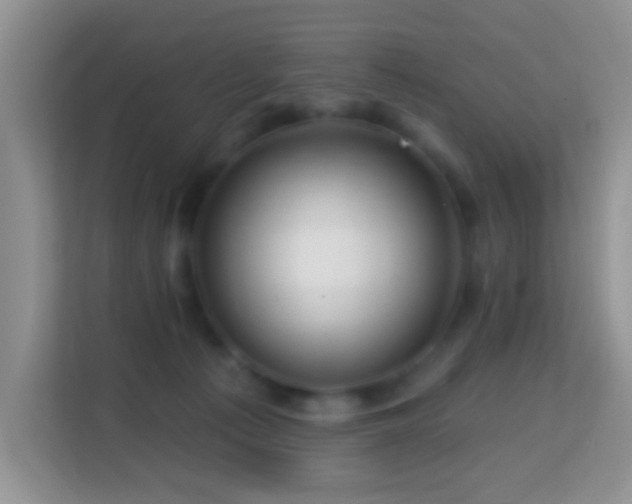 X0000114200225200910091259