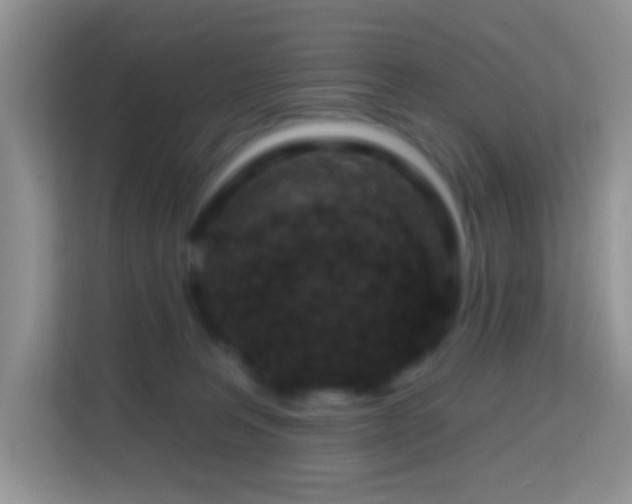X0000114200227200910091259