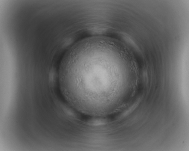 X0000114200228200910091259
