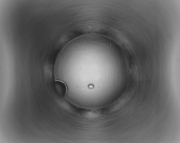 X0000114200232200910091259