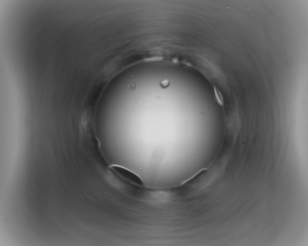 X0000114200233200910091259
