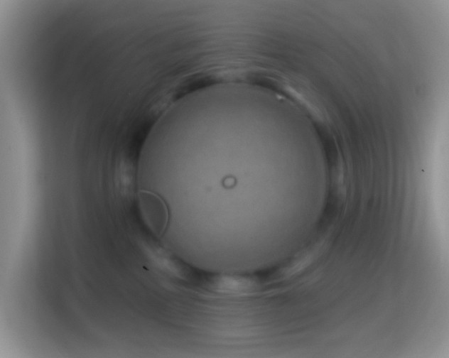 X0000114200234200910091259