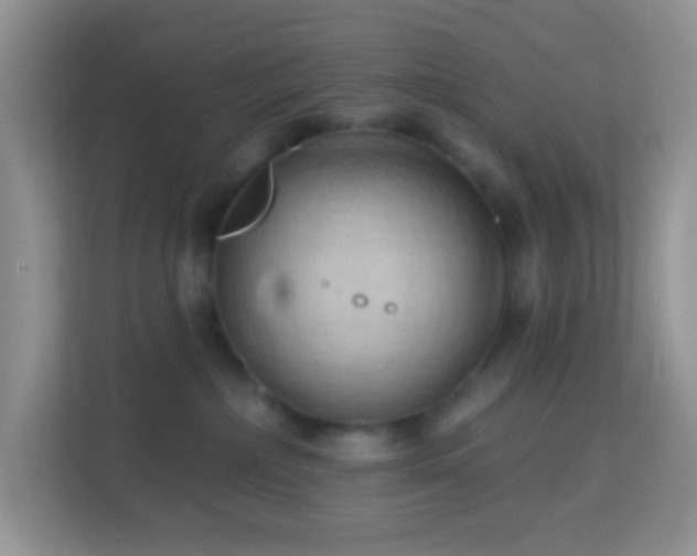 X0000114200236200910091259