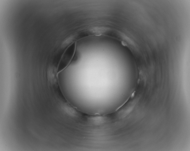 X0000114200237200910091259