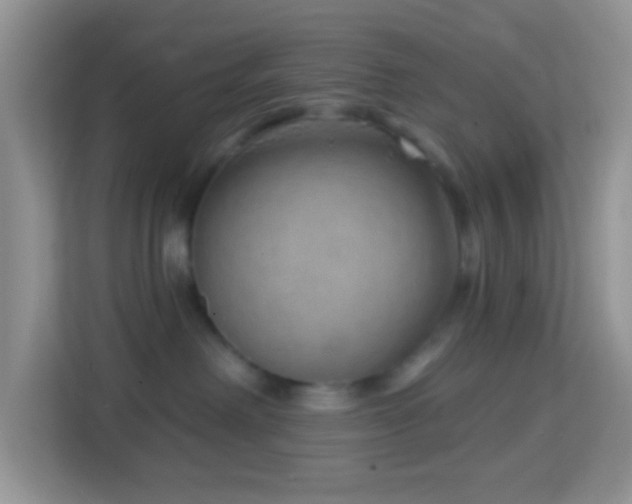 X0000114200238200910091259
