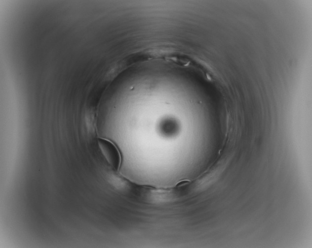 X0000114200240200910091259