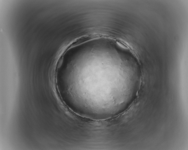 X0000114200241200910091258