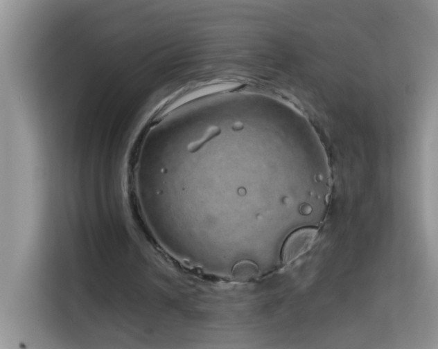 X0000114200242200910091258