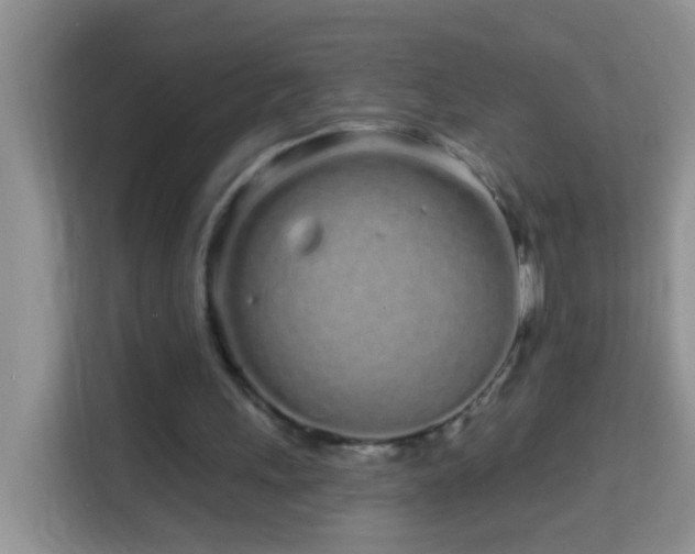 X0000114200243200910091258