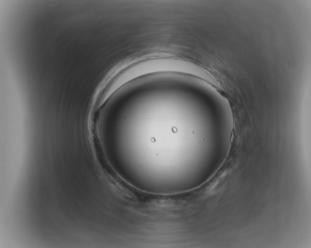 X0000114200244200910091258