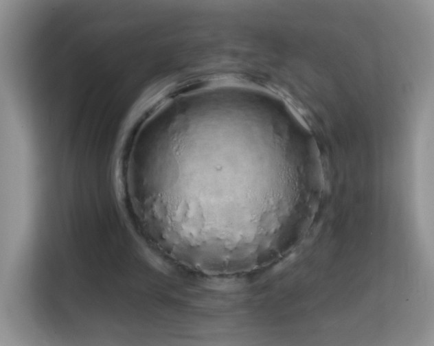 X0000114200245200910091258