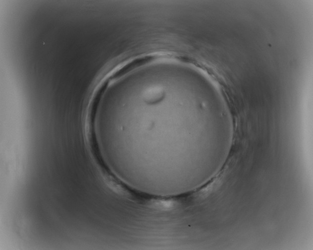 X0000114200247200910091258