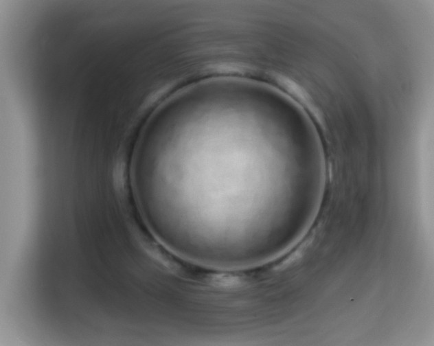 X0000114200249200910091258