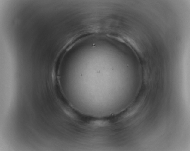 X0000114200251200910091258