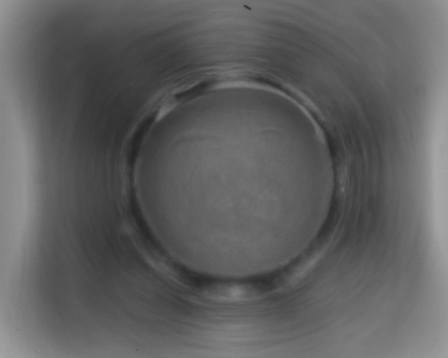 X0000114200254200910091258