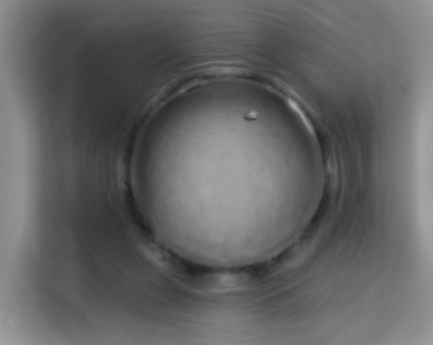 X0000114200255200910091258