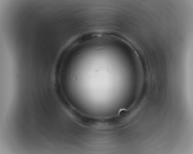 X0000114200256200910091258