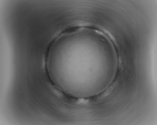 X0000114200257200910091258
