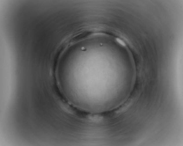 X0000114200258200910091258