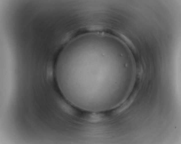 X0000114200261200910091258