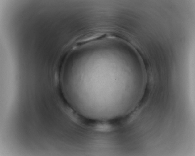 X0000114200262200910091258