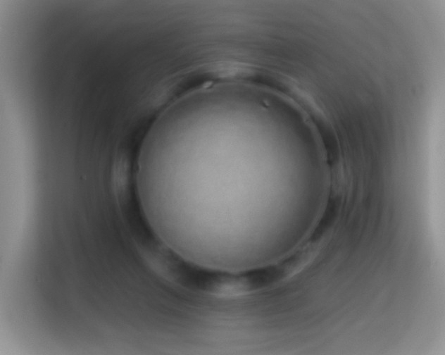 X0000114200263200910091258