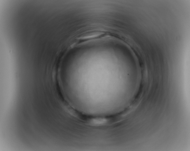 X0000114200266200910091259