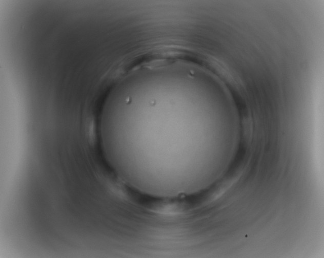 X0000114200267200910091259