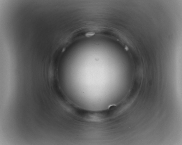 X0000114200268200910091259