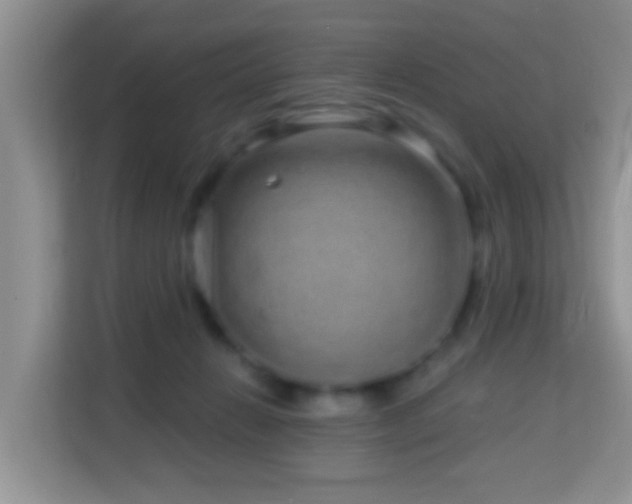 X0000114200270200910091259