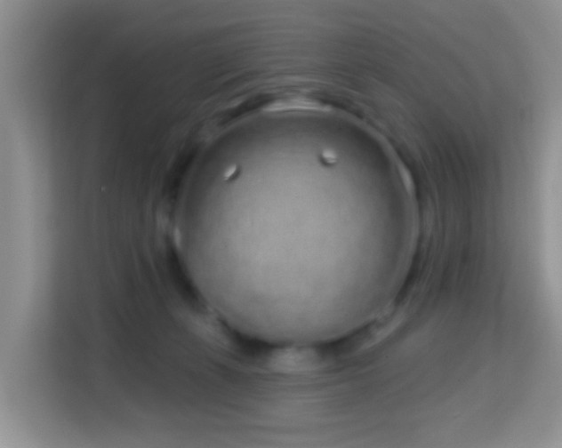 X0000114200271200910091259
