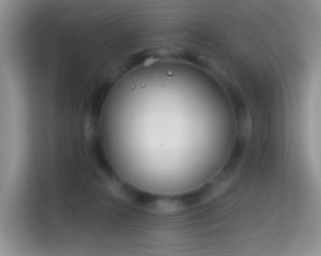 X0000114200272200910091259