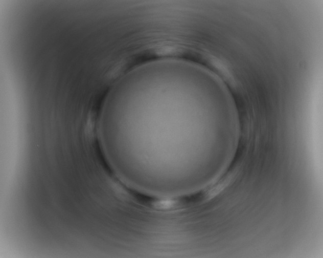X0000114200273200910091259