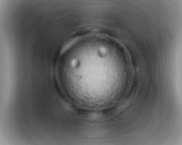 X0000114200274200910091259