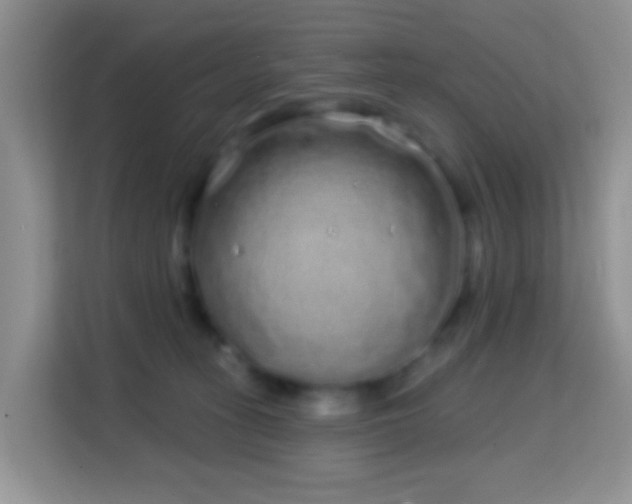 X0000114200275200910091259