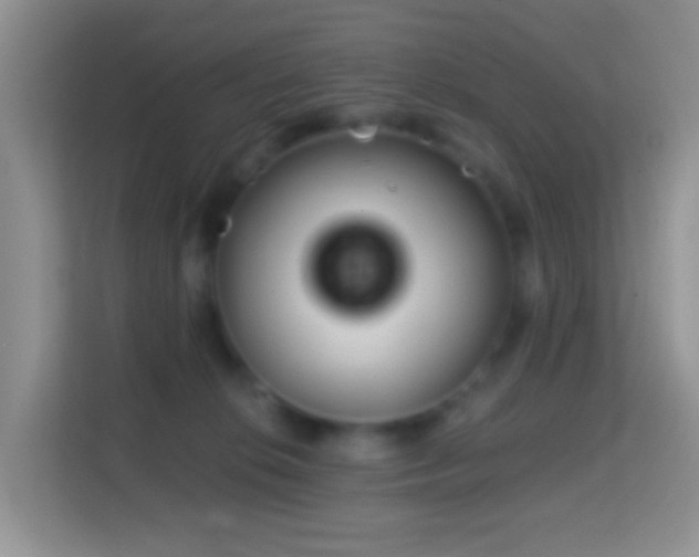 X0000114200276200910091259