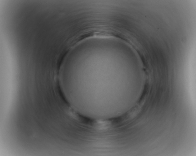 X0000114200277200910091259