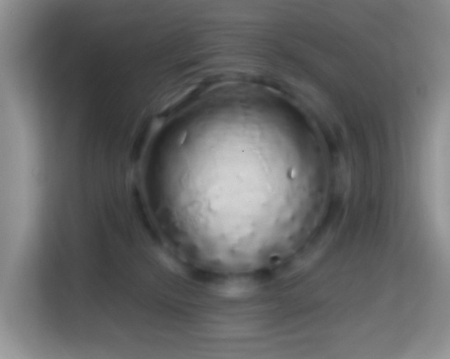 X0000114200278200910091259