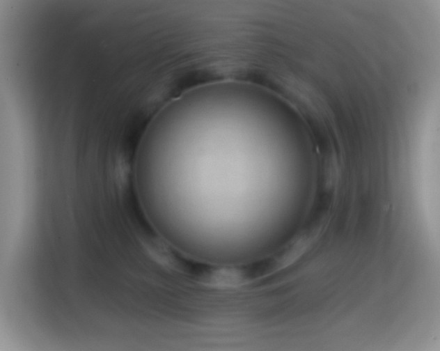 X0000114200279200910091259