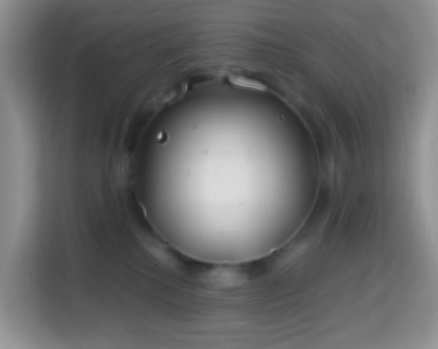 X0000114200280200910091259