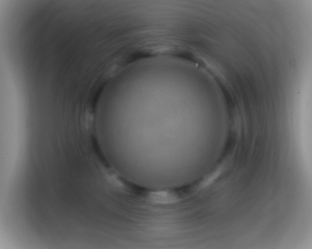 X0000114200281200910091259