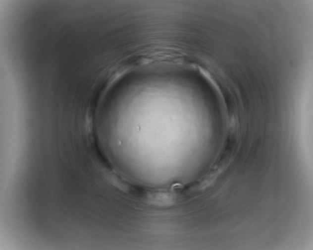 X0000114200282200910091259