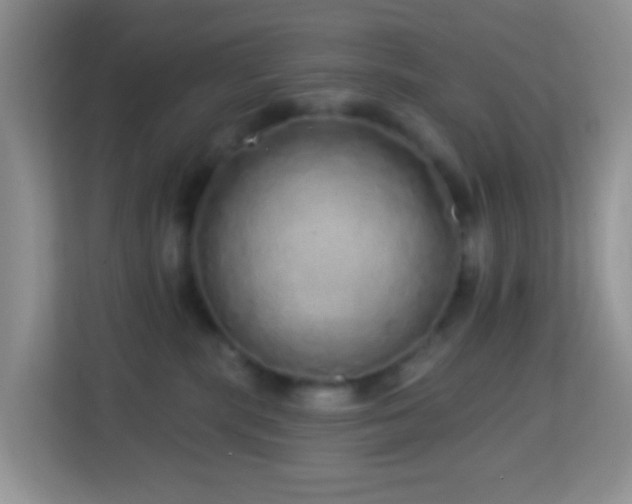 X0000114200283200910091259