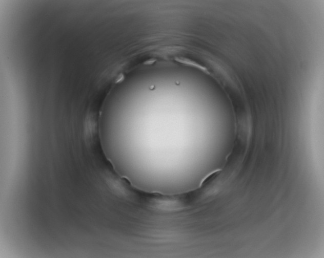 X0000114200284200910091259