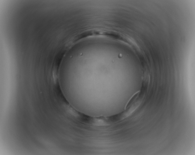 X0000114200285200910091259