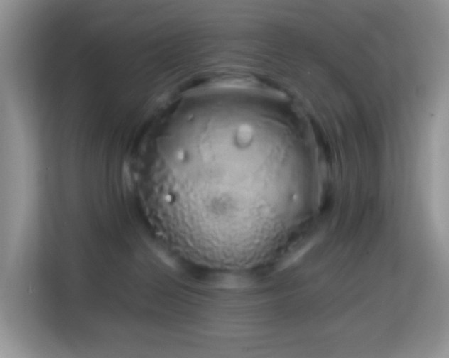 X0000114200286200910091259