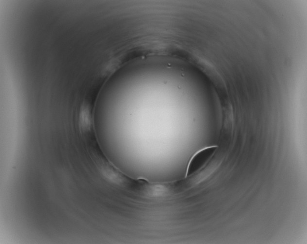 X0000114200287200910091259