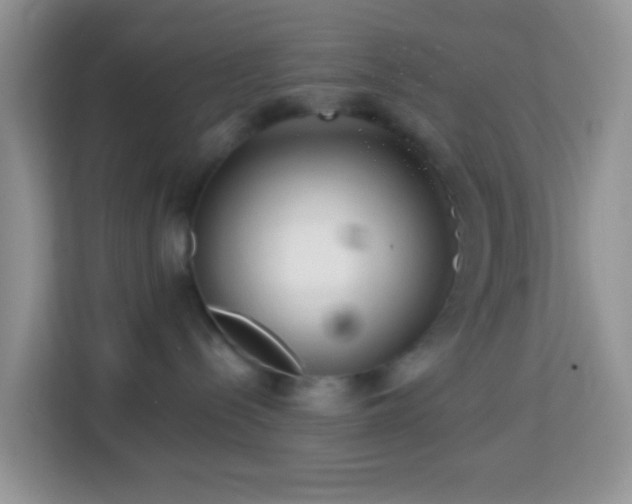 X0000114200288200910091259