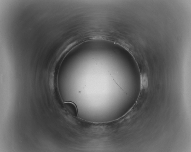 X0000114200291200910091258