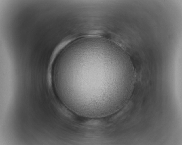 X0000114200294200910091258